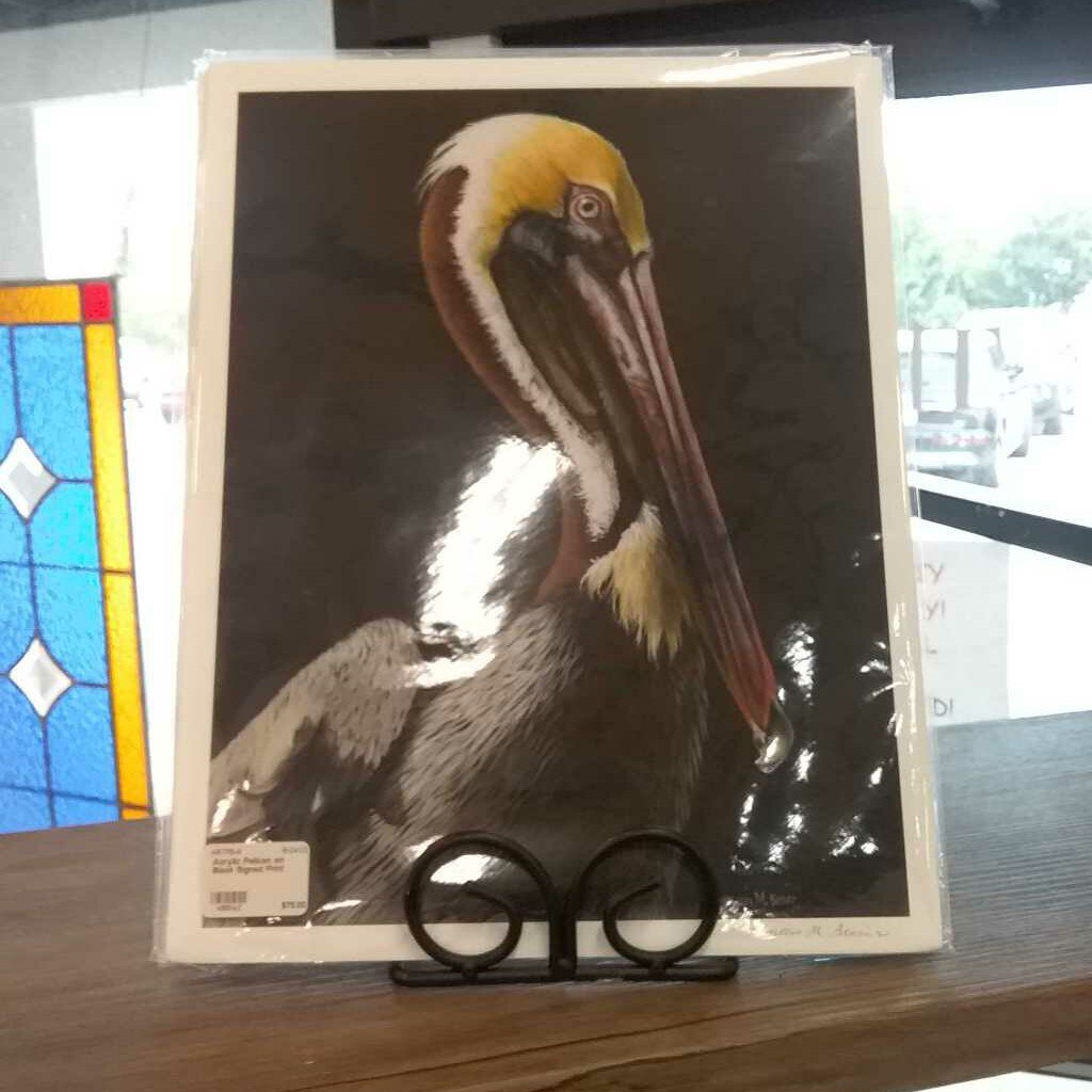 Acrylic Pelican on Black Signed Print