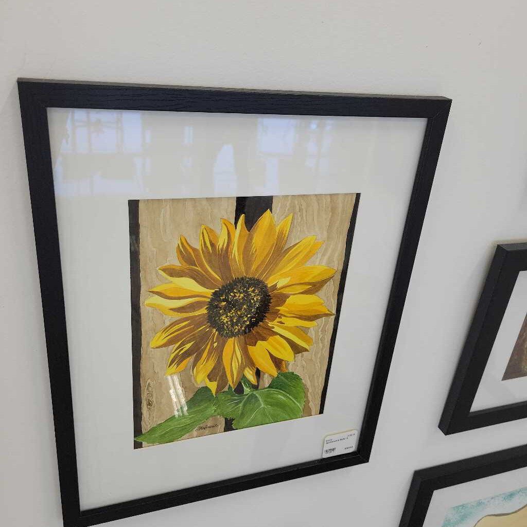sunflowers 8x10 m