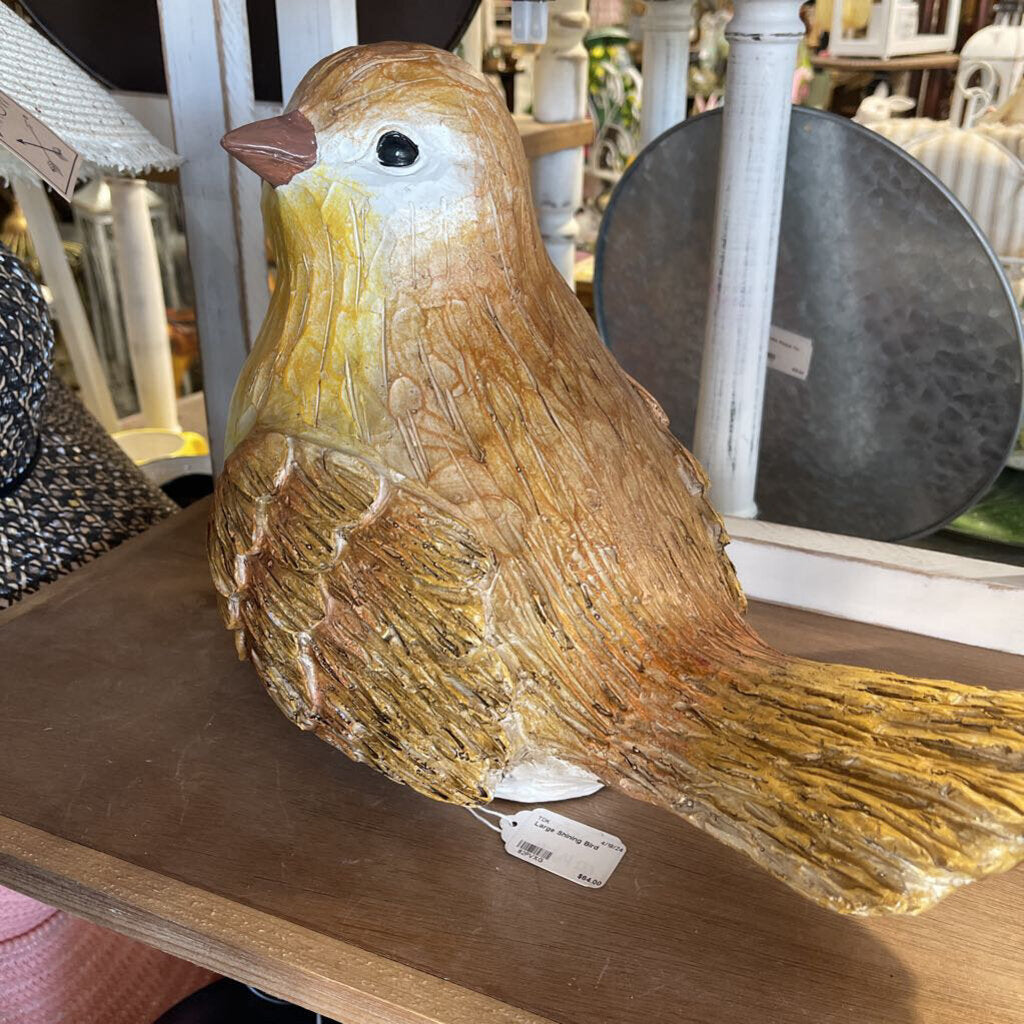 Large Shining Bird