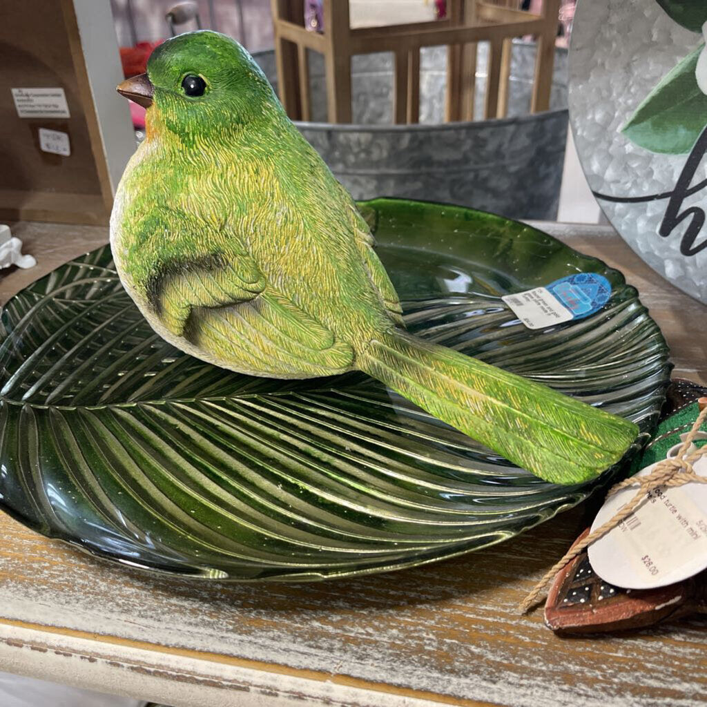 Large sitting bird