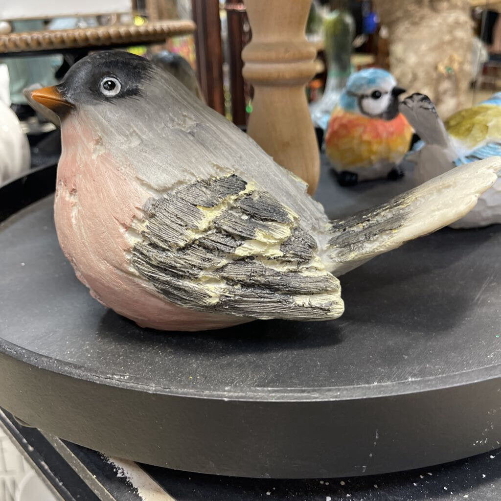 Black and white and malls large bird