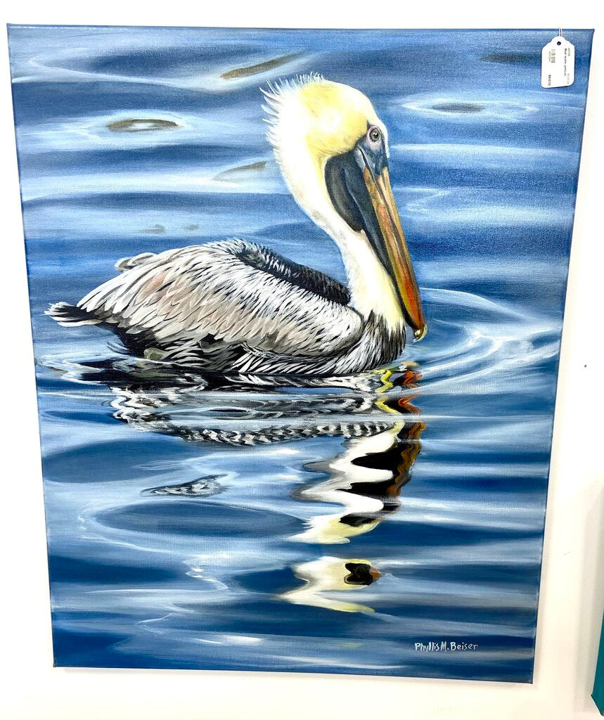 Blue water pelican