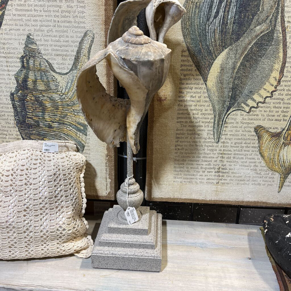 Unique one of a kind conch shell art on heavy stand-priced each