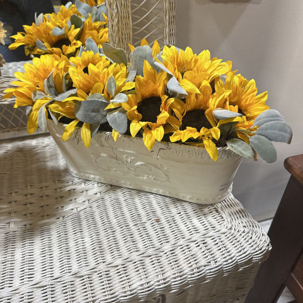 sunflower planter
