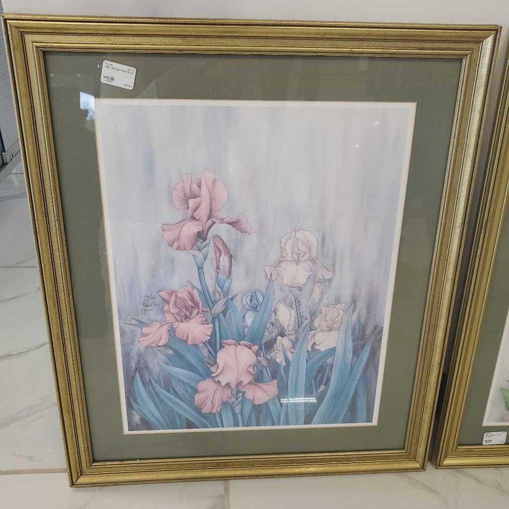 J93 Vintage Irises Print