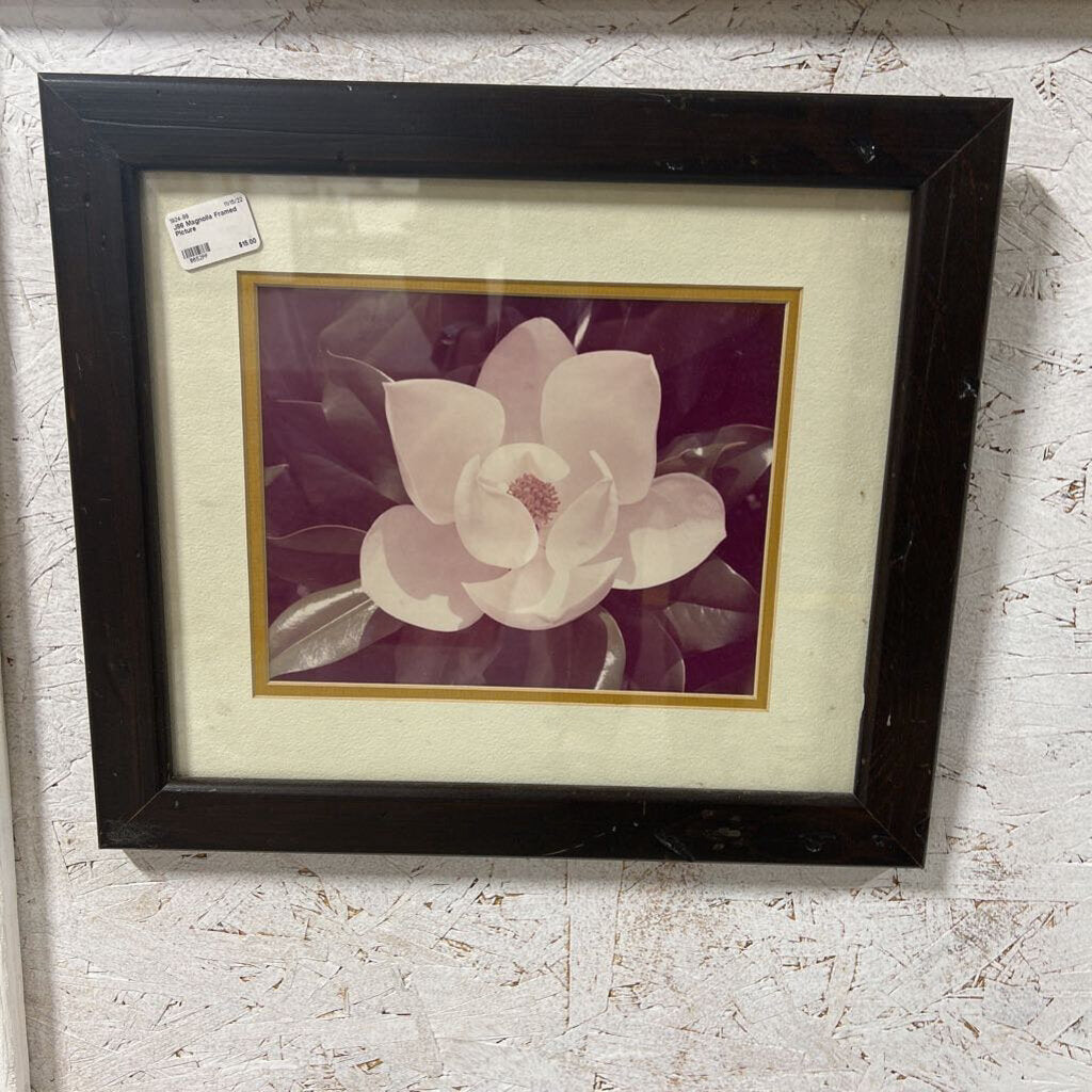 J96 Magnolia Framed Picture