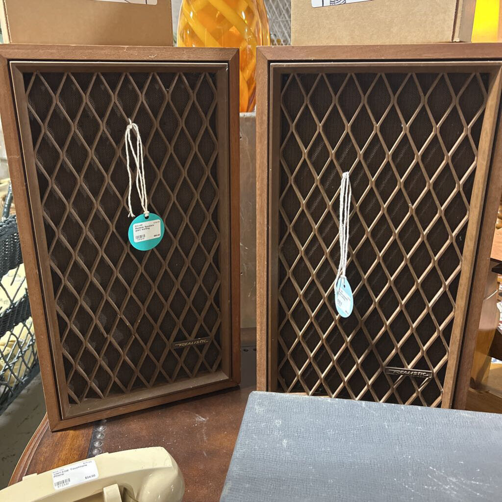 Realistic Speakers (pair) working