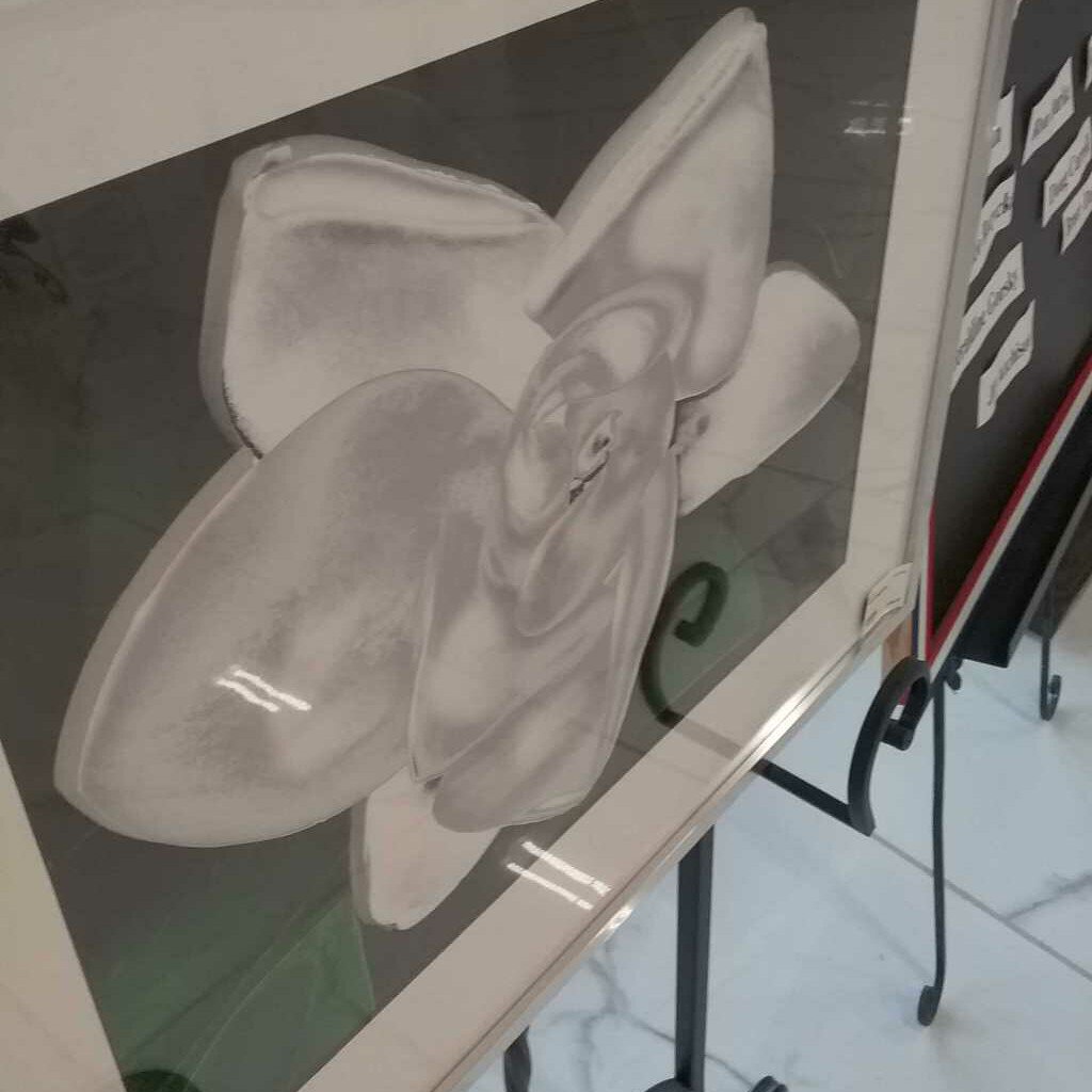 Steel Magnolia