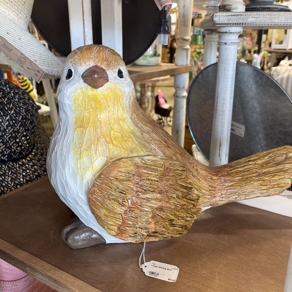 Large Shining Bird