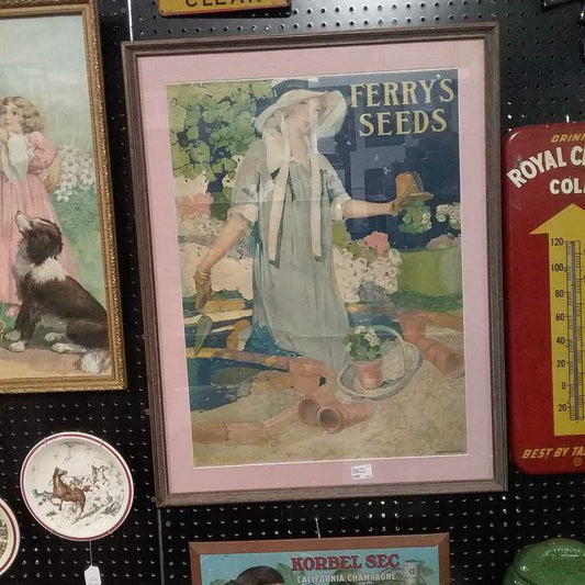 FERRY'S SEEDS FRAMED ADVERTISEMENT