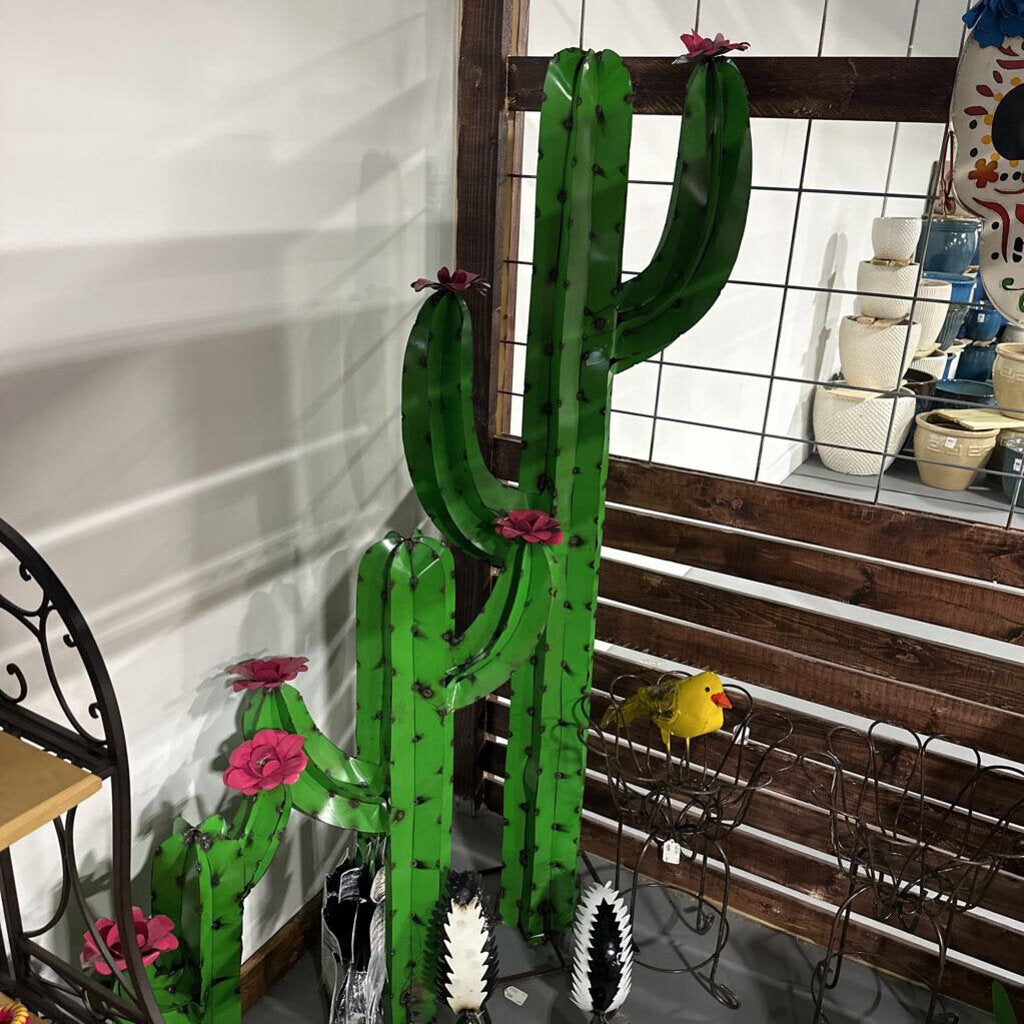 XL Cactus