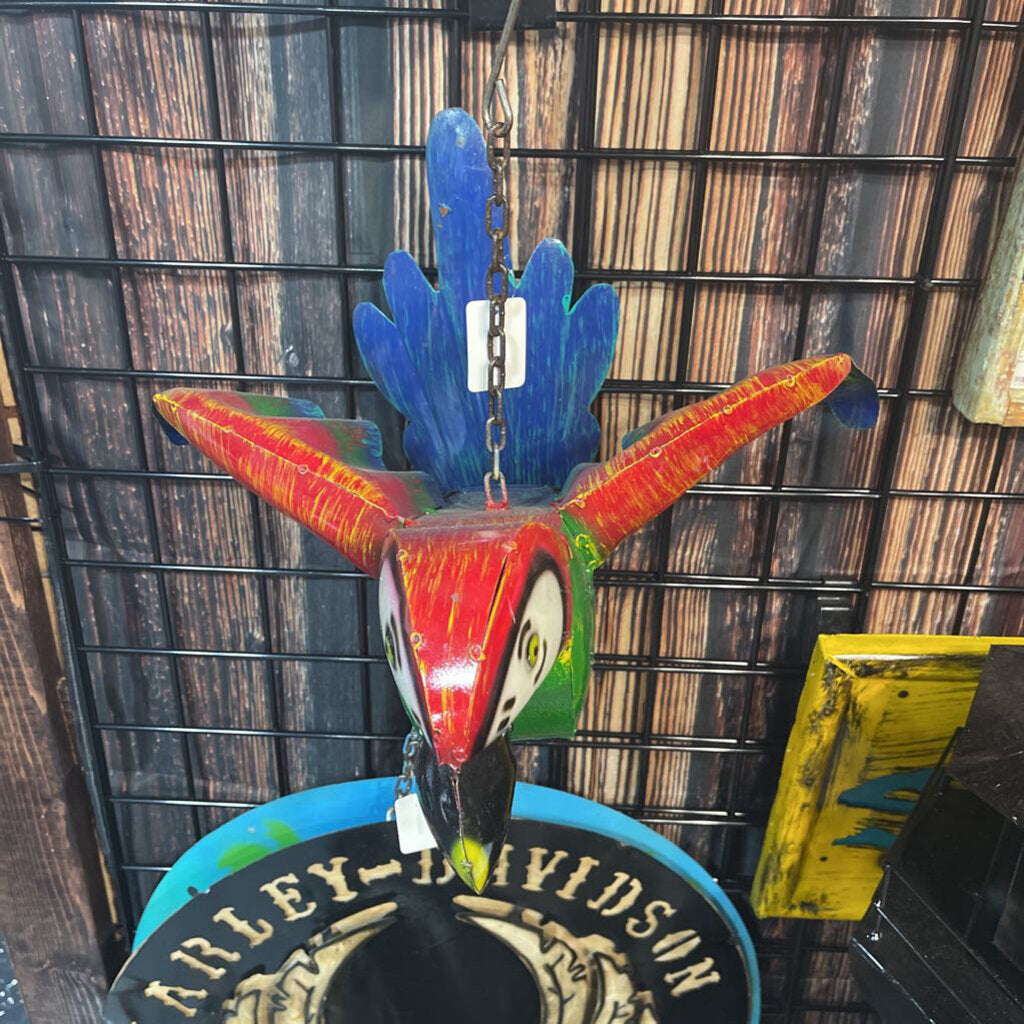 Parrot