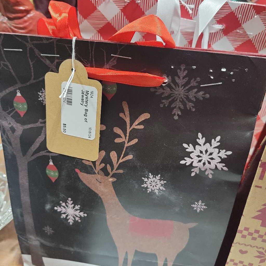 Mystery Bag of Jewelry