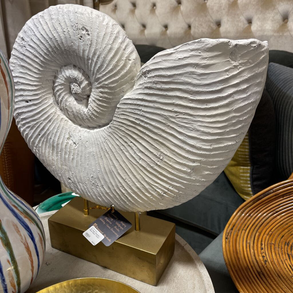 19" Resin Seashell / Black Base / Stand