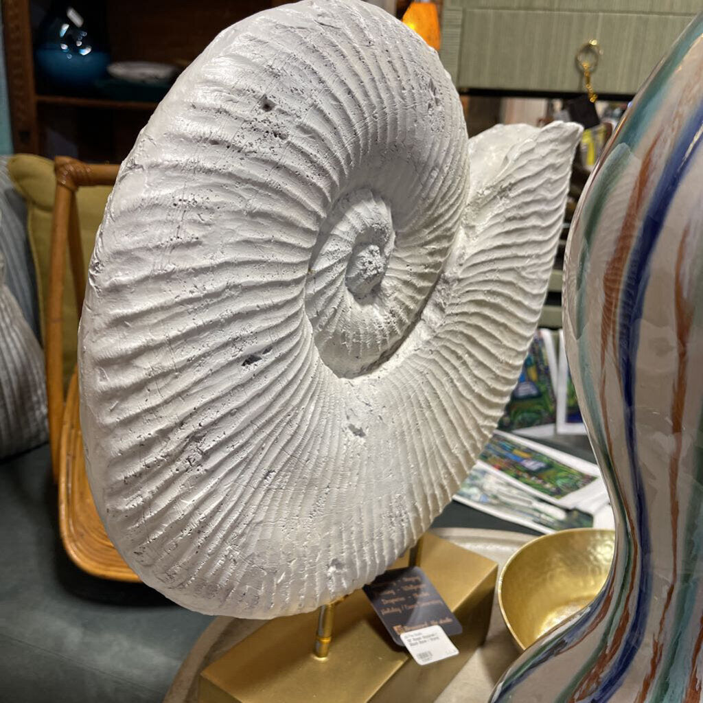 19" Resin Seashell / Black Base / Stand