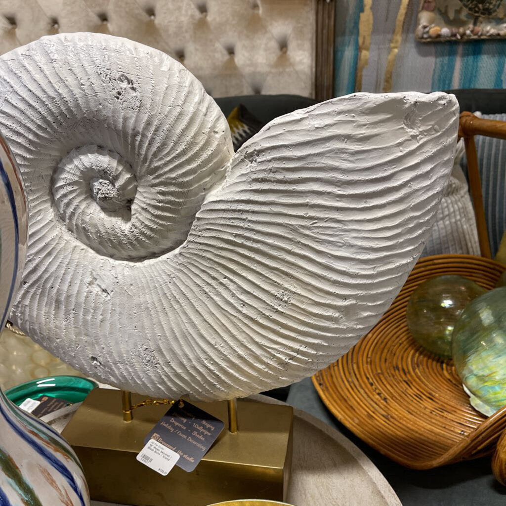 19" Resin Seashell / Black Base / Stand