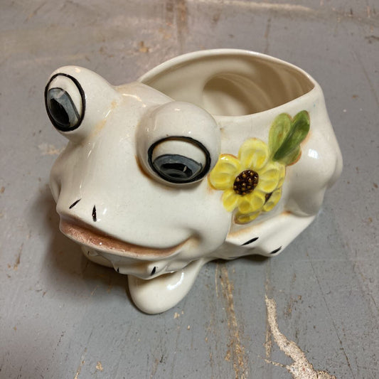 hand painted ceramic bubble eye frog planter