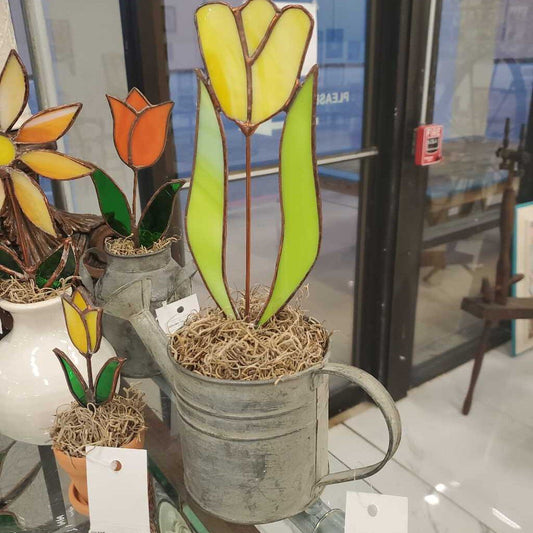 Tulip in Vase/Pot