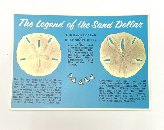 Vintage Postcard Legend of the Sand Dollar
