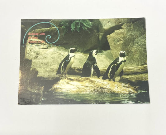 Vintage Postcard Aquarium of the Americas New Orleans Penguins