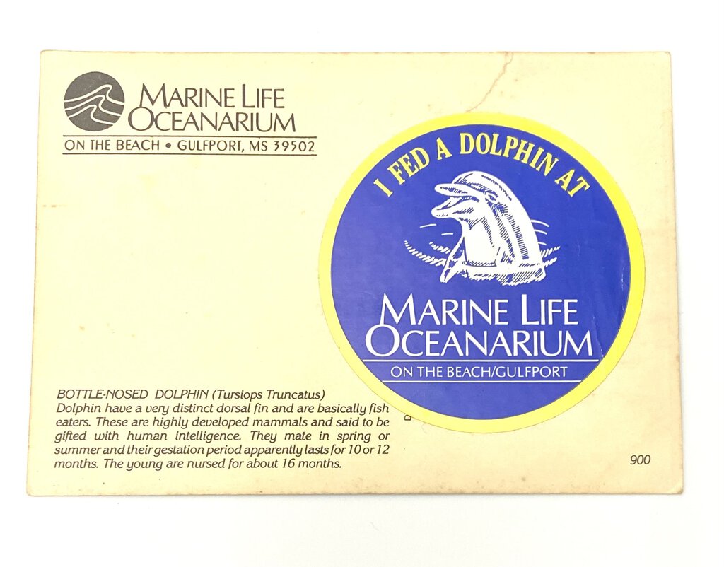 Vintage Postcard Marine Life Dolphins Gulfport MS Mississippi (I fed a dolphin sticker) 1990s