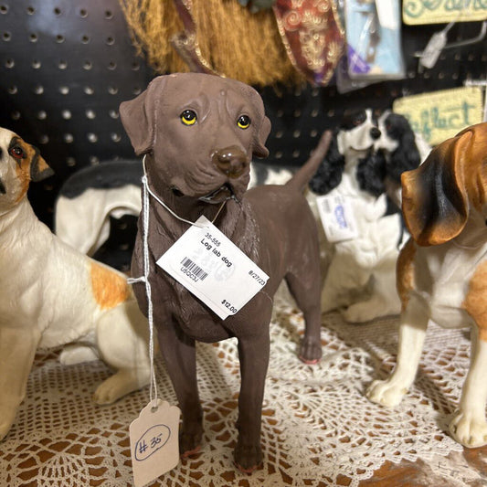 Log lab dog