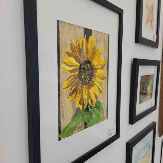 sunflowers 8x10 m